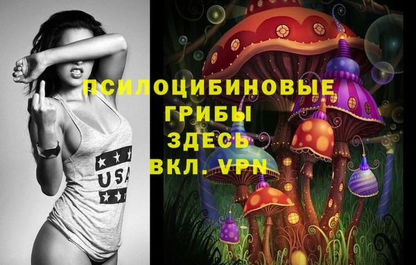МДПВ Никольск