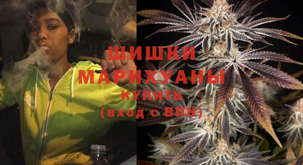 МДПВ Никольск