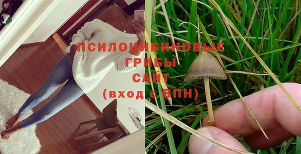 МДПВ Никольск