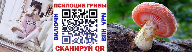 где продают   Усмань  Псилоцибиновые грибы мухоморы 